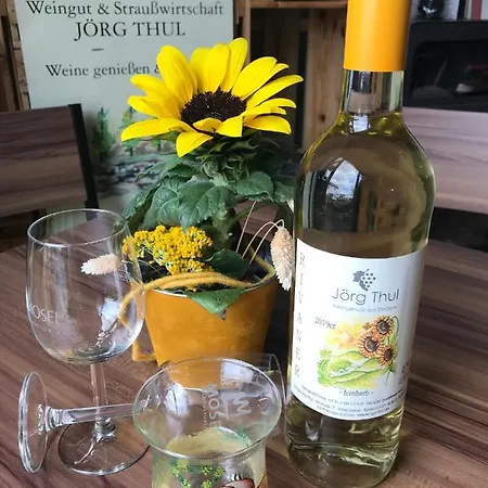 Weingut Und Gaestezimmer Joerg Thul 3* Detzem