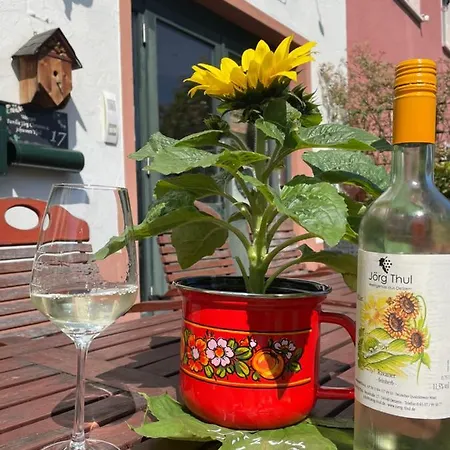 Weingut Und Gaestezimmer Joerg Thul Pensión Detzem