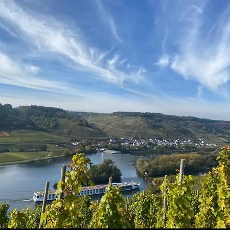 Weingut Und Gaestezimmer Joerg Thul Vendégház Detzem