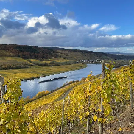 Weingut Und Gästezimmer Jörg Thul Gasthof