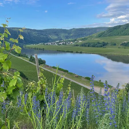 Gasthof Weingut Und Gästezimmer Jörg Thul Detzem