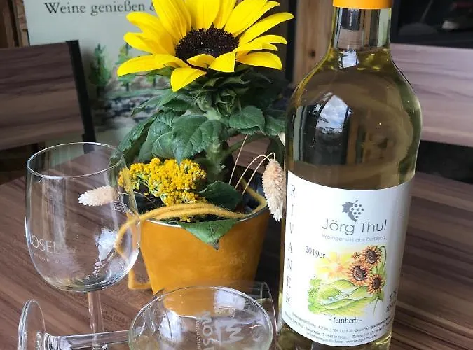Weingut Und Gaestezimmer Joerg Thul 3* Detzem