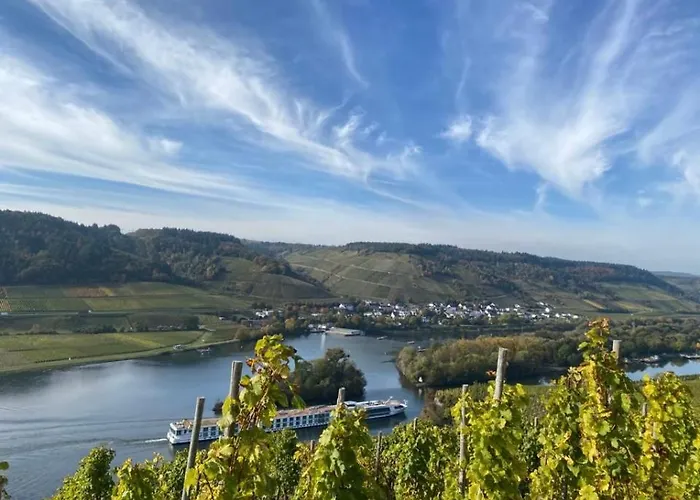 Weingut Und Gaestezimmer Joerg Thul Pensionat Detzem