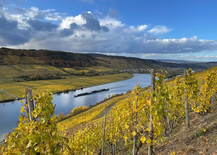 Weingut Und Gästezimmer Jörg Thul Gasthof