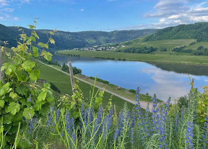 Gasthof Weingut Und Gästezimmer Jörg Thul Detzem